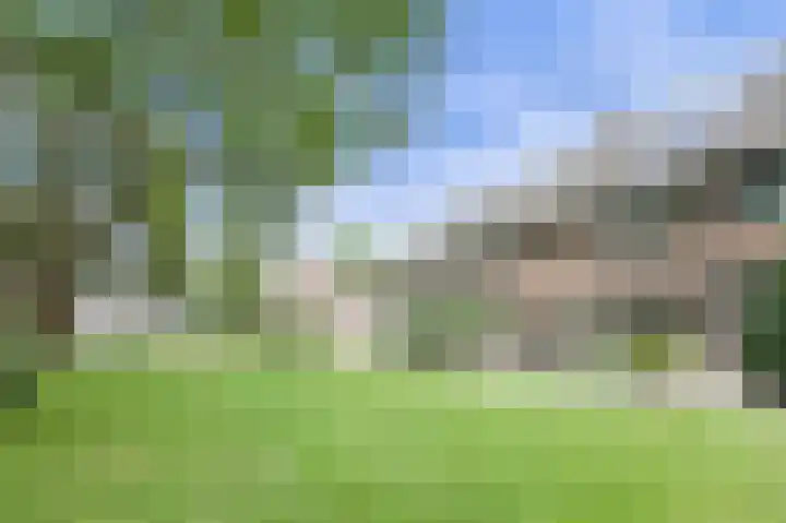 Ravelijn 141 Geertruidenberg thumbnail 6
