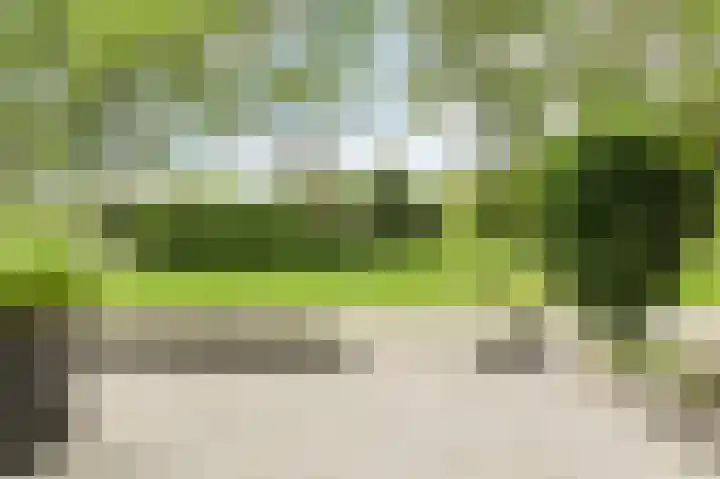 Ravelijn 141 Geertruidenberg thumbnail 8