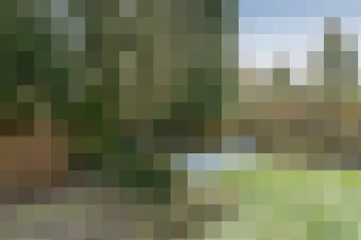 Ravelijn 16 Emmen thumbnail 33
