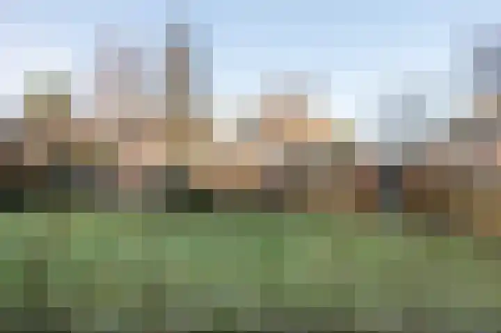 Ravelijn 16 Emmen thumbnail 37
