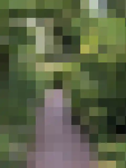 Ravelijn 16 Emmen thumbnail 49