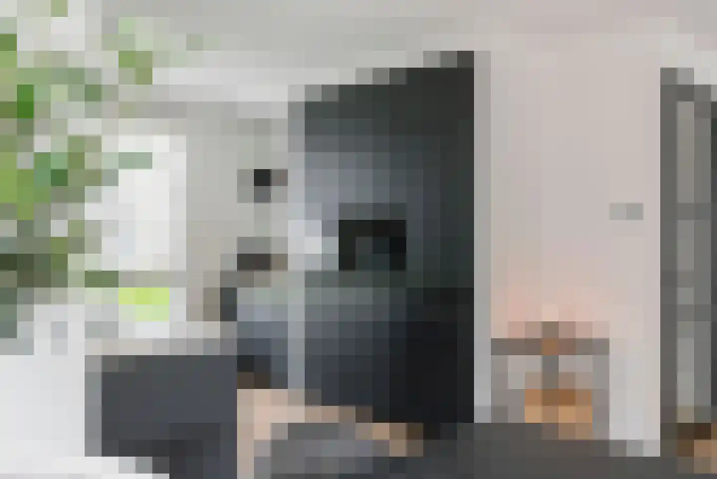 Ravelijn 16 Meteren thumbnail 31