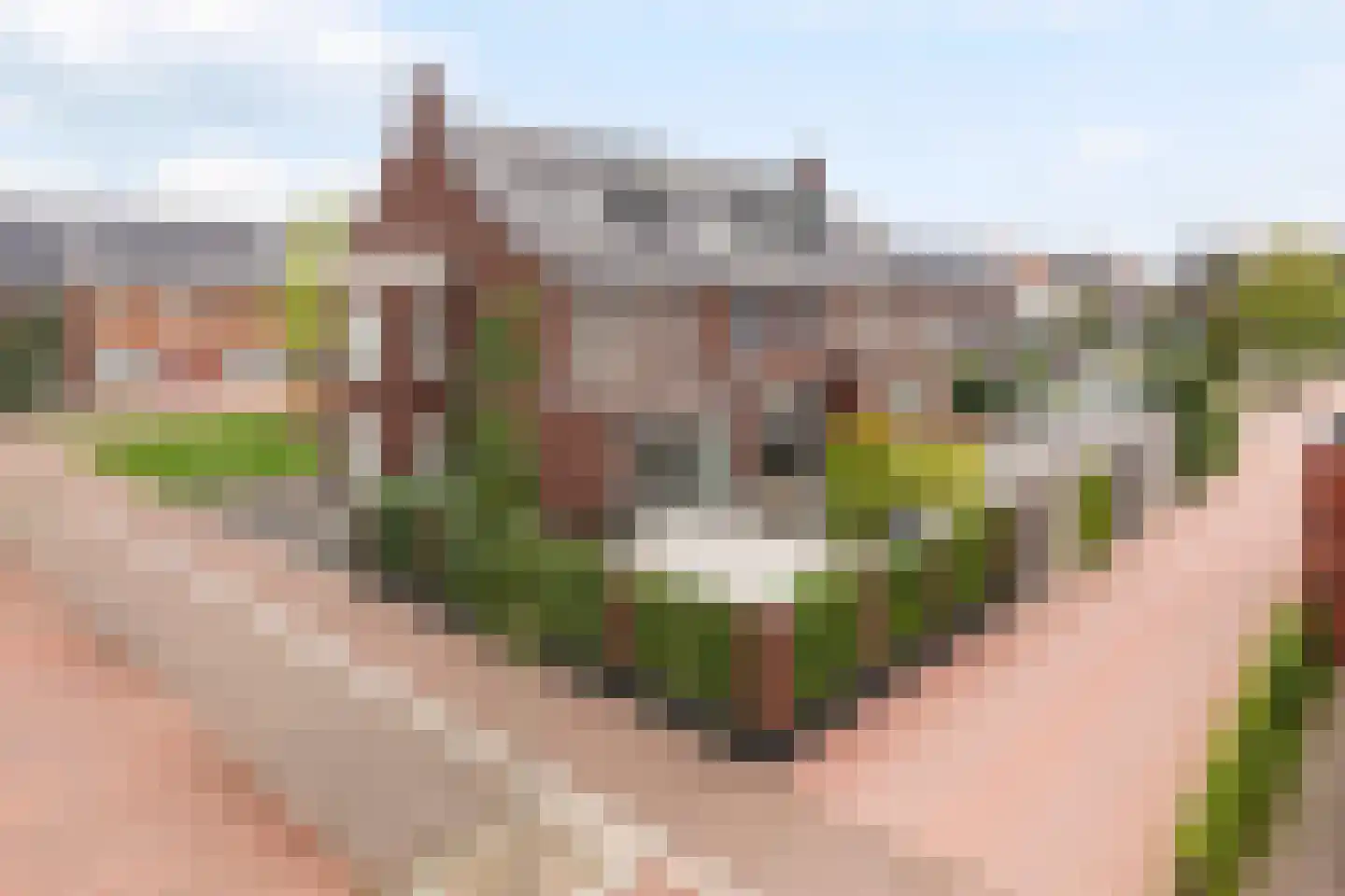 Ravelijn 16 Meteren thumbnail 5