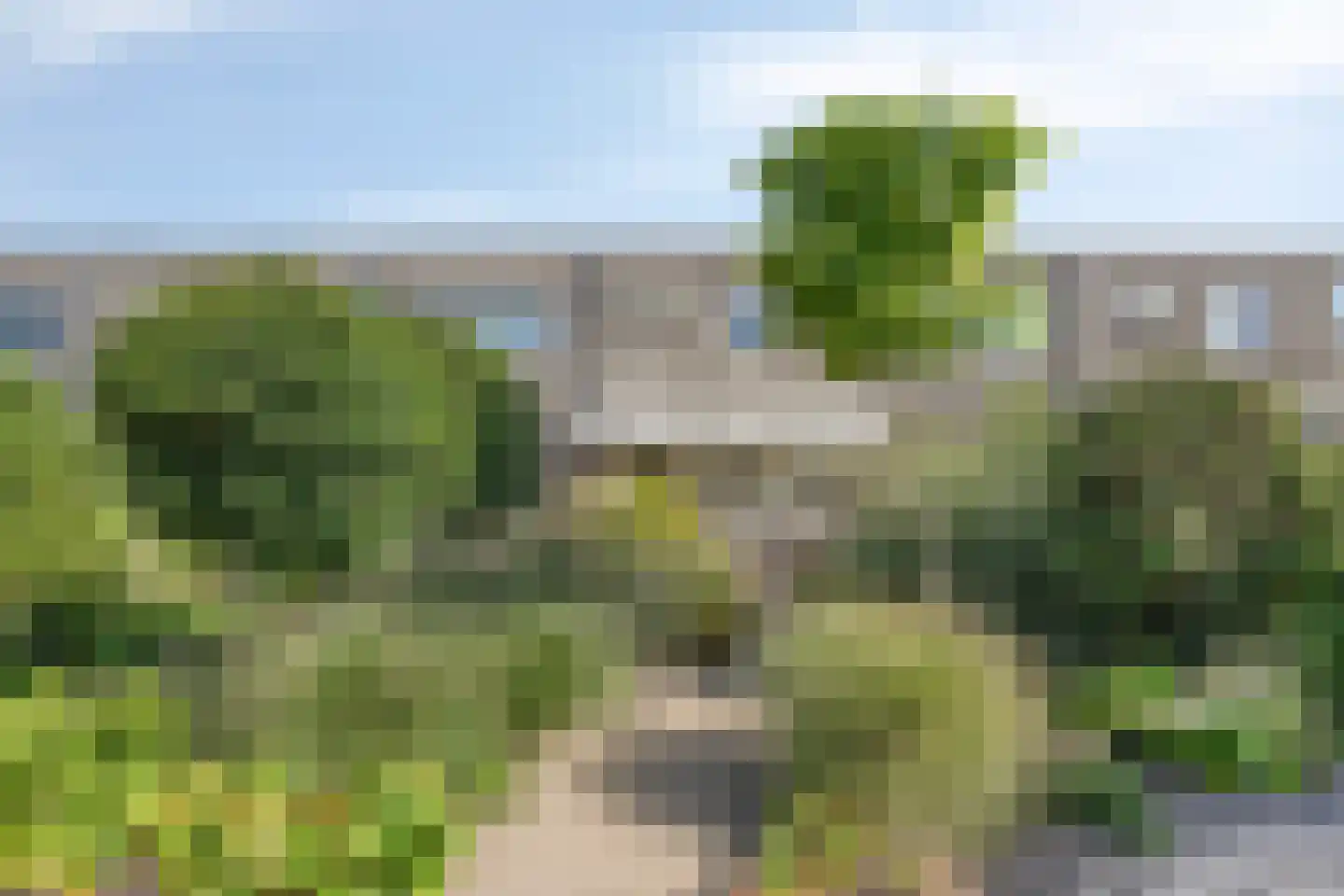 Ravelijn 17 Oost-Souburg thumbnail 26