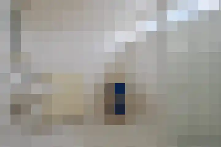 Ravelijn 20 Oost-Souburg thumbnail 23