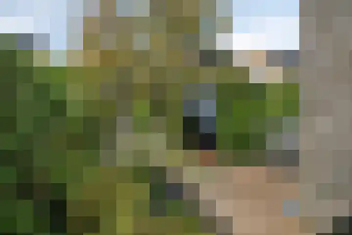 Ravelijn 20 Oost-Souburg thumbnail 26
