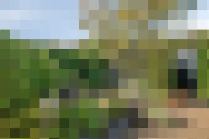 Ravelijn 20 Oost-Souburg thumbnail 27