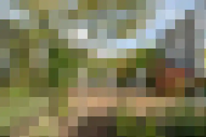 Ravelijn 20 Oost-Souburg thumbnail 28