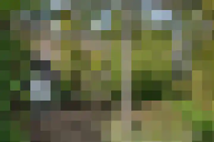 Ravelijn 20 Oost-Souburg thumbnail 29