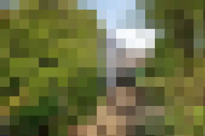 Ravelijn 20 Oost-Souburg thumbnail 30