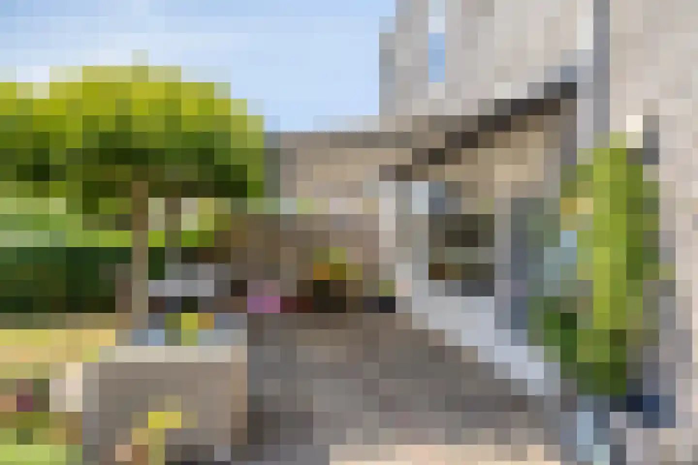 Ravelijn 21 Oost-Souburg thumbnail 29