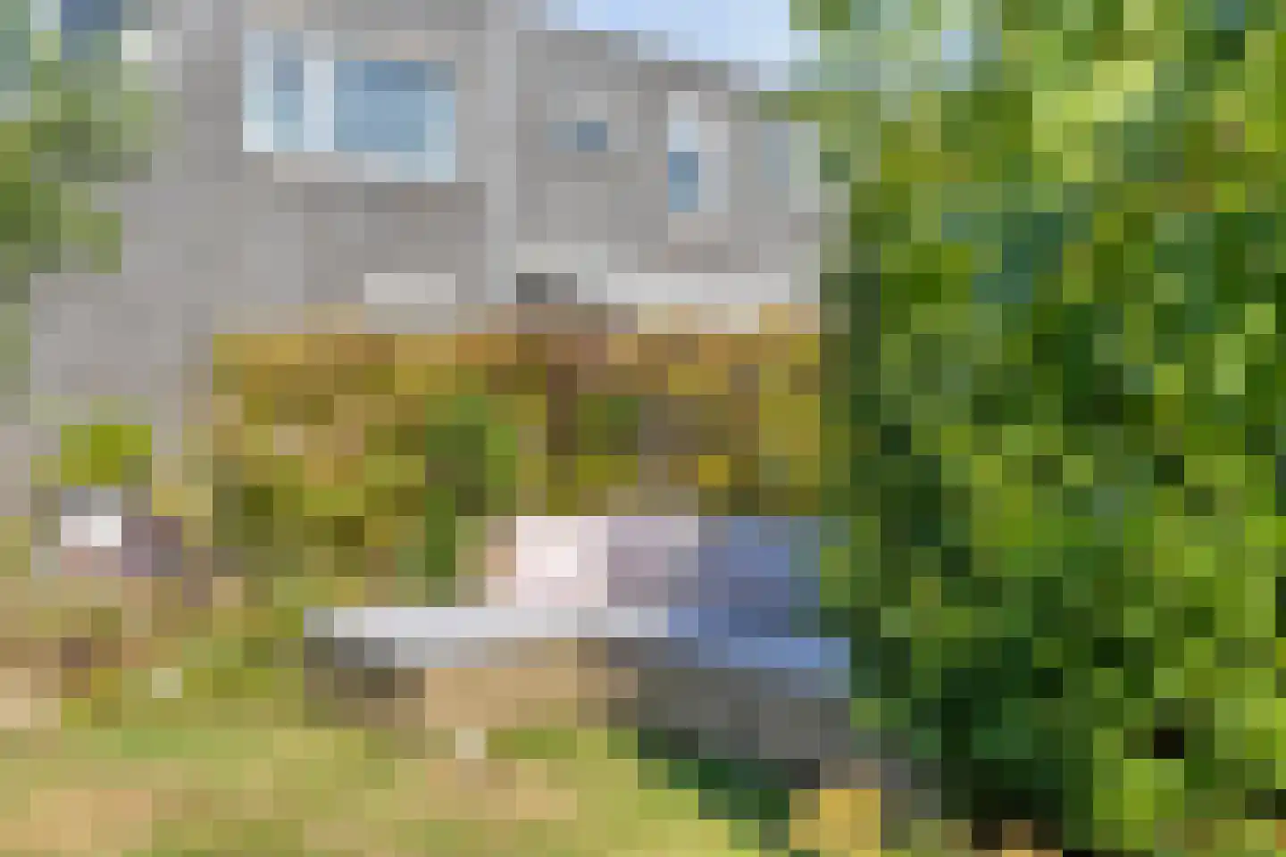 Ravelijn 21 Oost-Souburg thumbnail 31