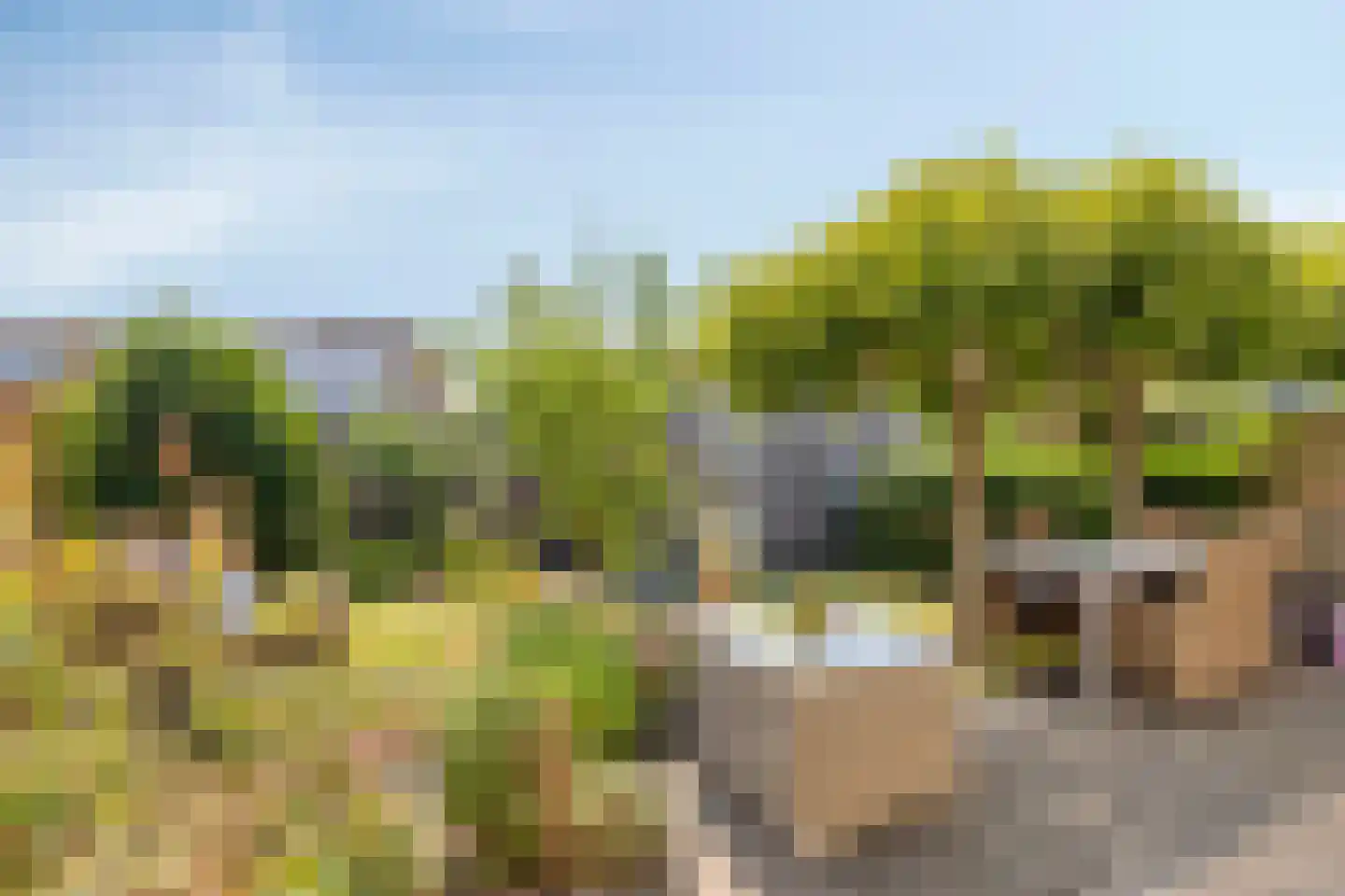 Ravelijn 21 Oost-Souburg thumbnail 33
