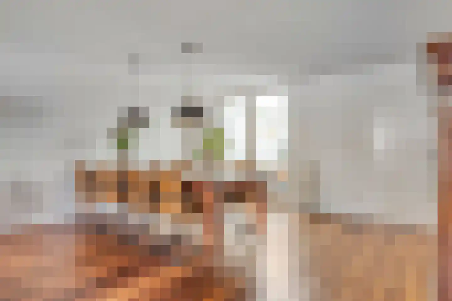Ravelijn 23 Terheijden thumbnail 11