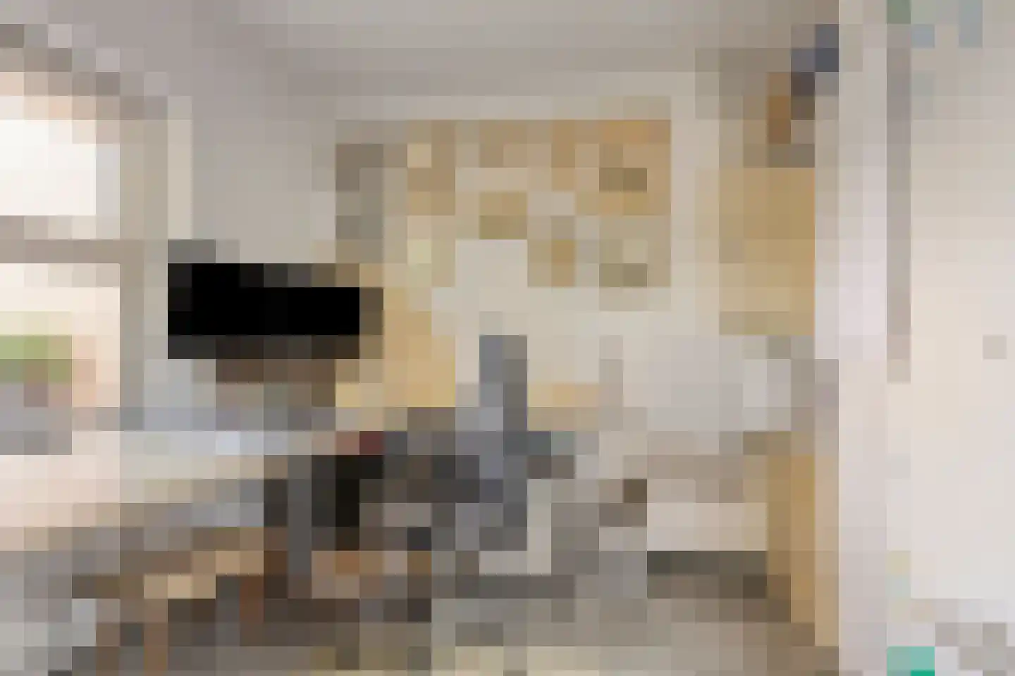 Ravelijn 23 Terheijden thumbnail 19