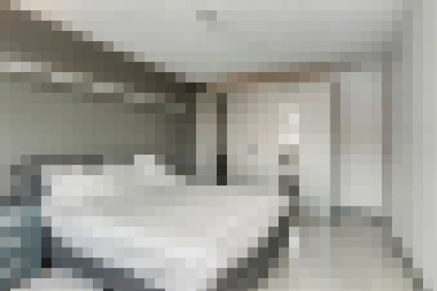Ravelijn 23 Terheijden thumbnail 23