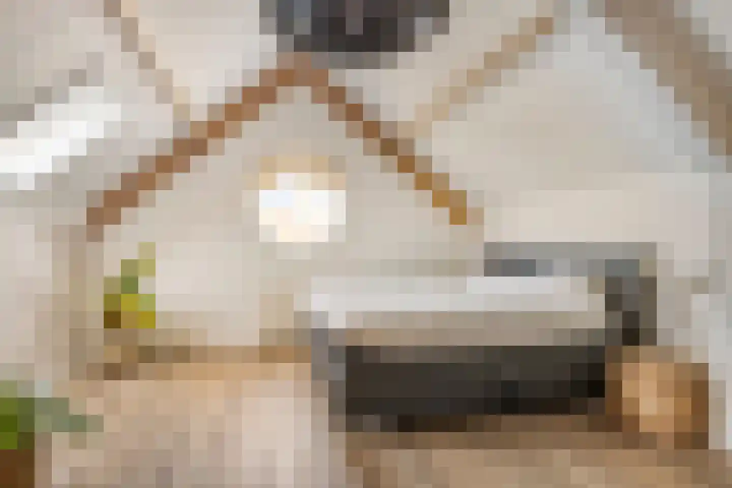 Ravelijn 23 Terheijden thumbnail 32