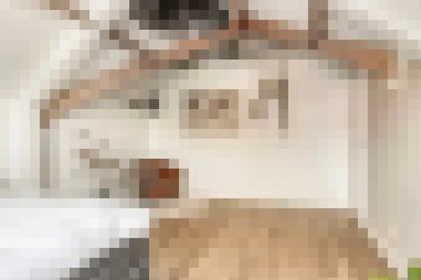 Ravelijn 23 Terheijden thumbnail 33