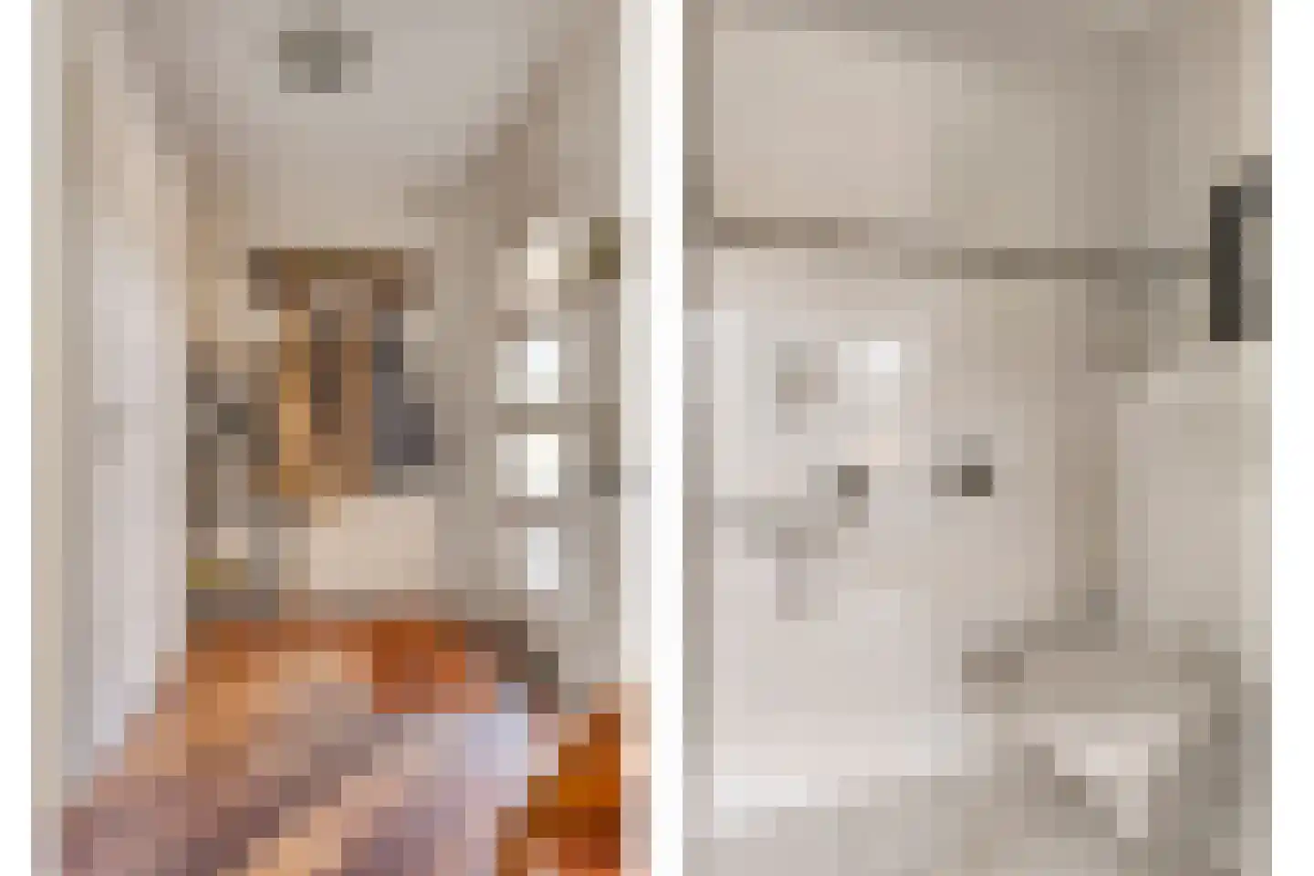 Ravelijn 23 Terheijden thumbnail 8