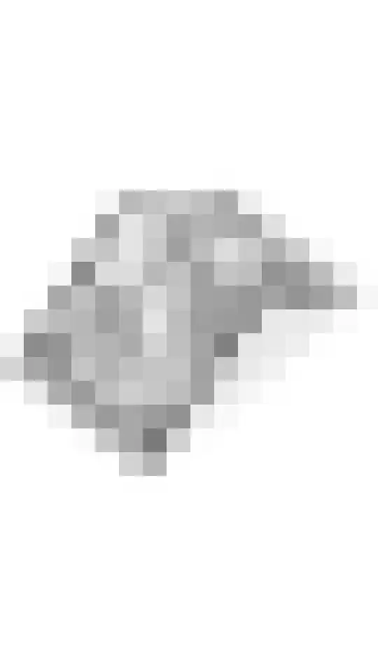 Ravelijn 26 Meteren thumbnail 39