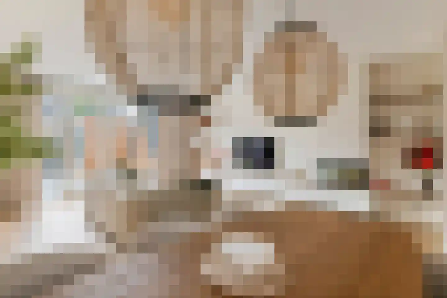 Ravelijn 28 Meteren thumbnail 21