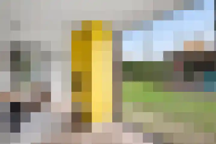 Ravelijn 28 Vijfhuizen thumbnail 15