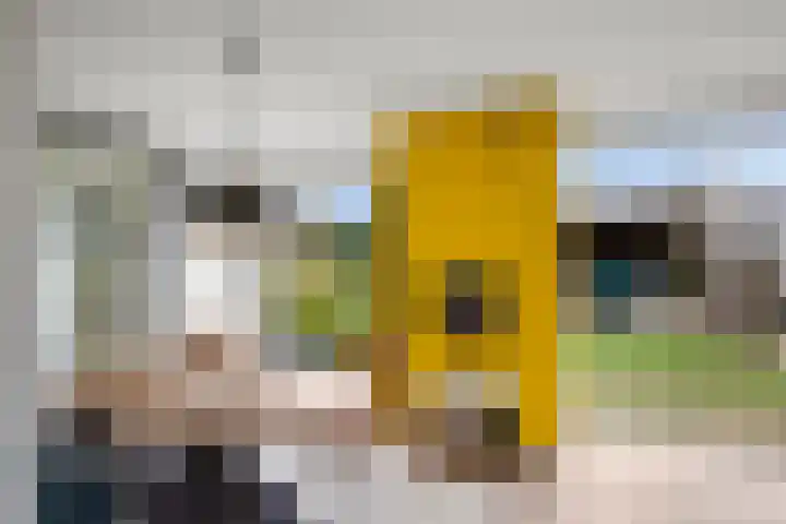 Ravelijn 28 Vijfhuizen thumbnail 16