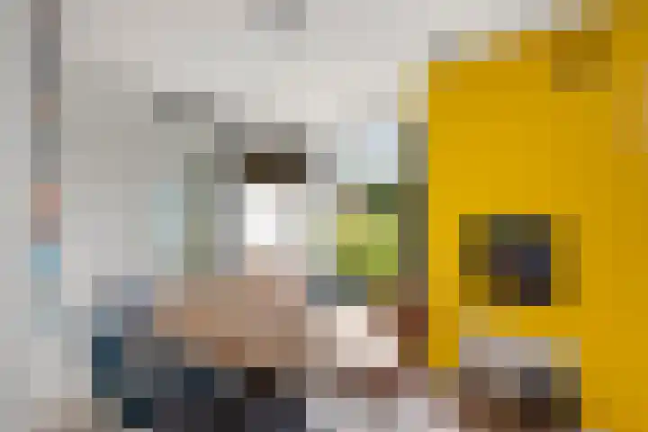 Ravelijn 28 Vijfhuizen thumbnail 17
