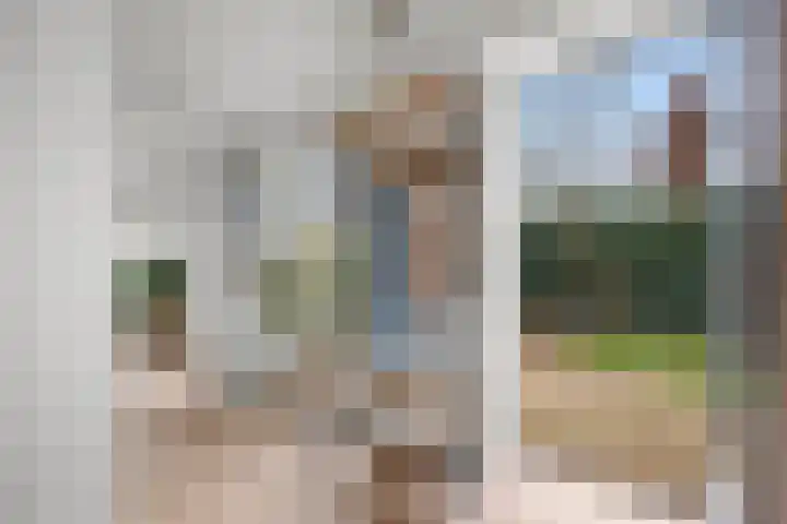Ravelijn 28 Vijfhuizen thumbnail 20