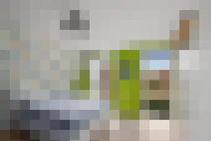 Ravelijn 28 Vijfhuizen thumbnail 22
