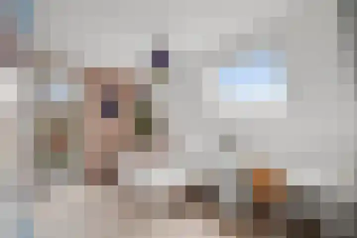 Ravelijn 28 Vijfhuizen thumbnail 25