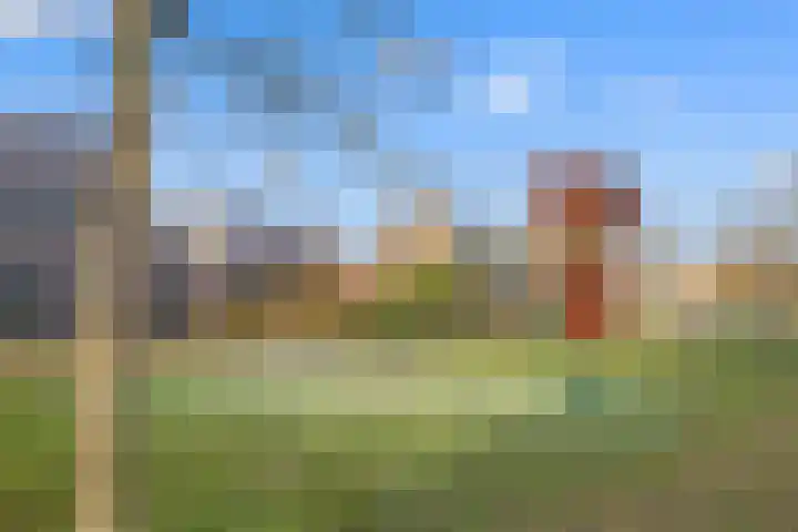 Ravelijn 28 Vijfhuizen thumbnail 50