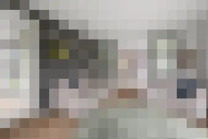 Ravelijn 28 Vijfhuizen thumbnail 7