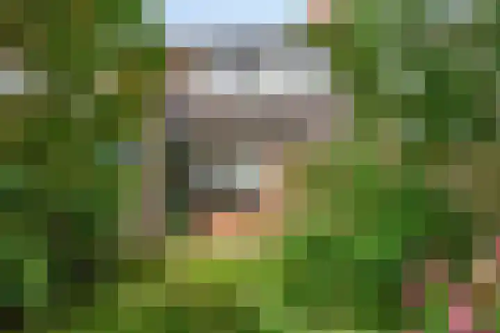 Ravelijn 33 Alkmaar thumbnail 8