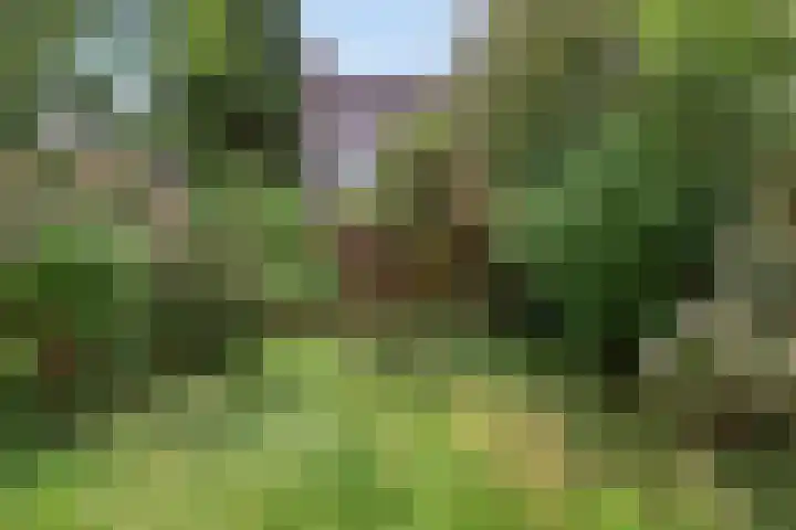 Ravelijn 33 Alkmaar thumbnail 9