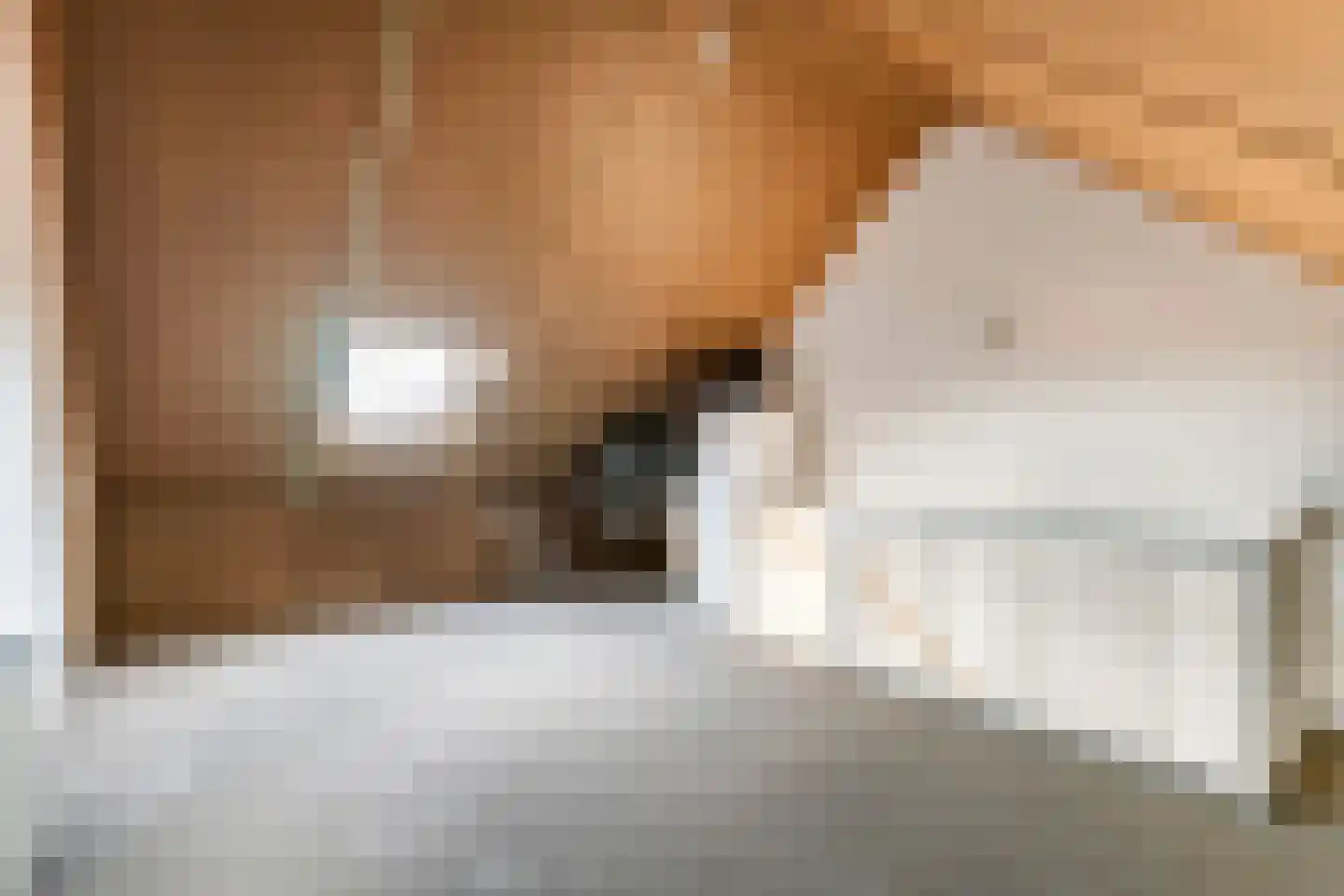 Ravelijn 33 Meteren thumbnail 28