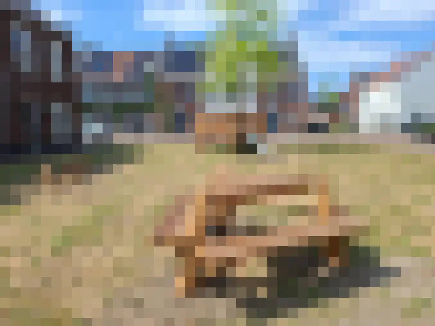 Ravelijn 33 Meteren thumbnail 40