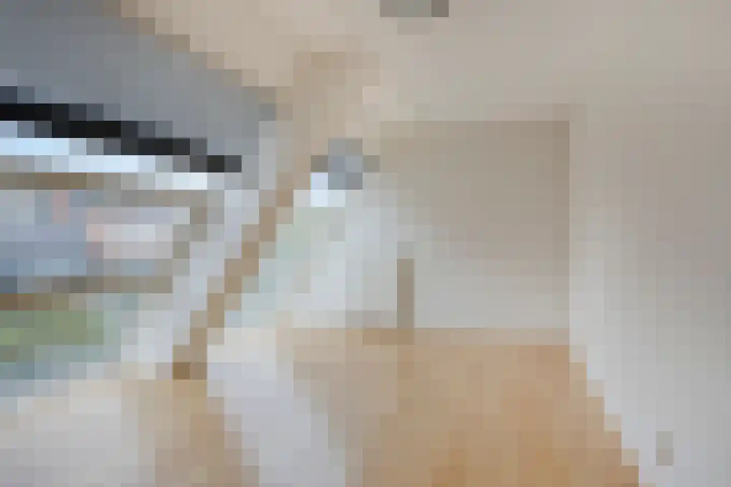 Ravelijn 33 Vijfhuizen thumbnail 12