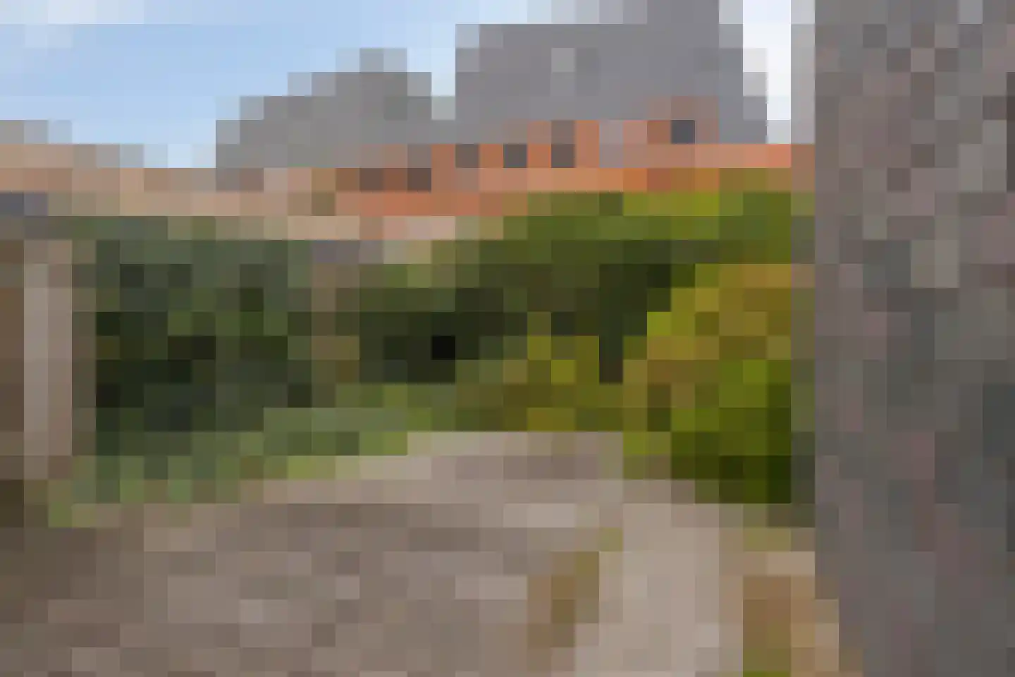 Ravelijn 33 Vijfhuizen thumbnail 22