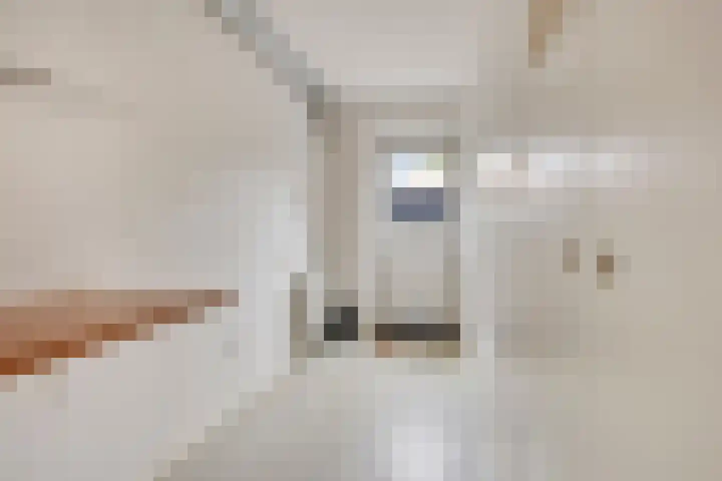 Ravelijn 33 Vijfhuizen thumbnail 9