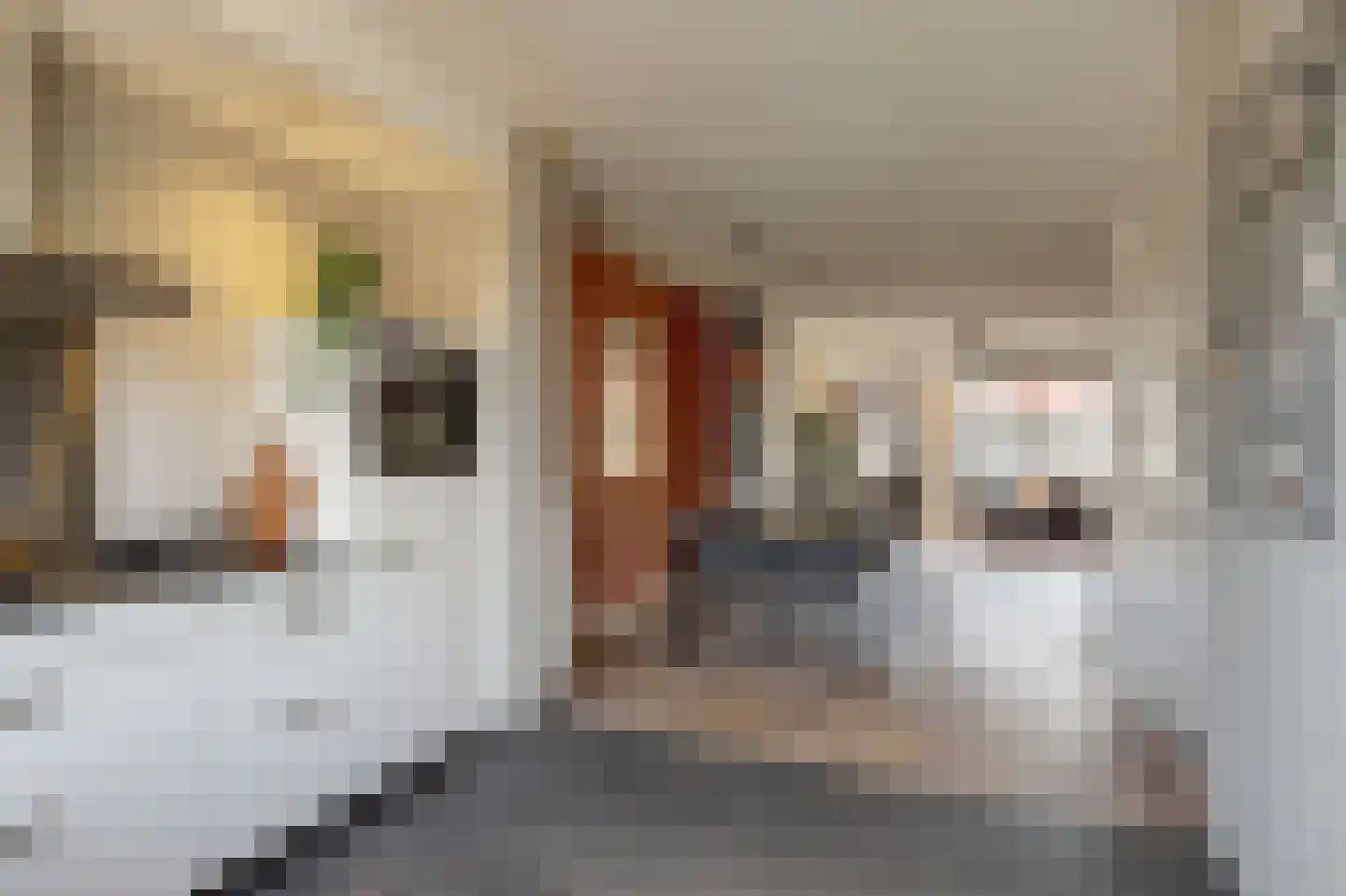 Ravelijn 34 Woudrichem thumbnail 18