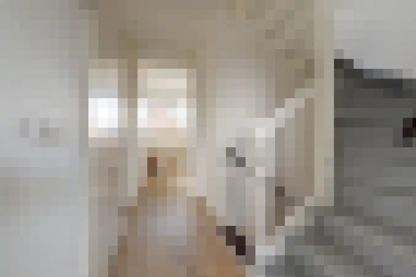 Ravelijn 34 Woudrichem thumbnail 31