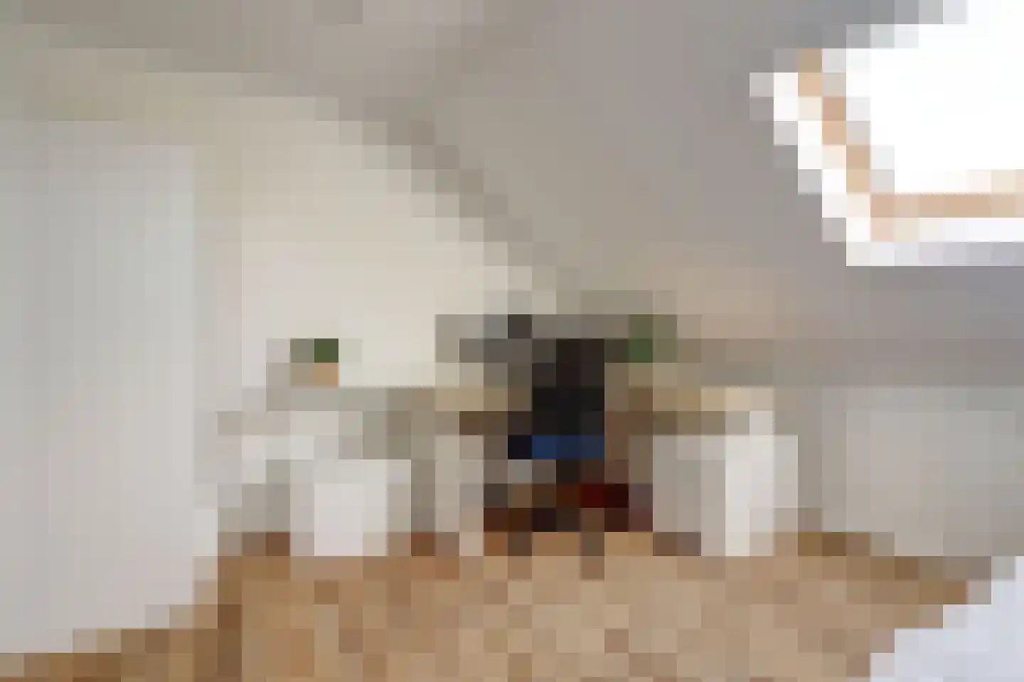 Ravelijn 34 Woudrichem thumbnail 37