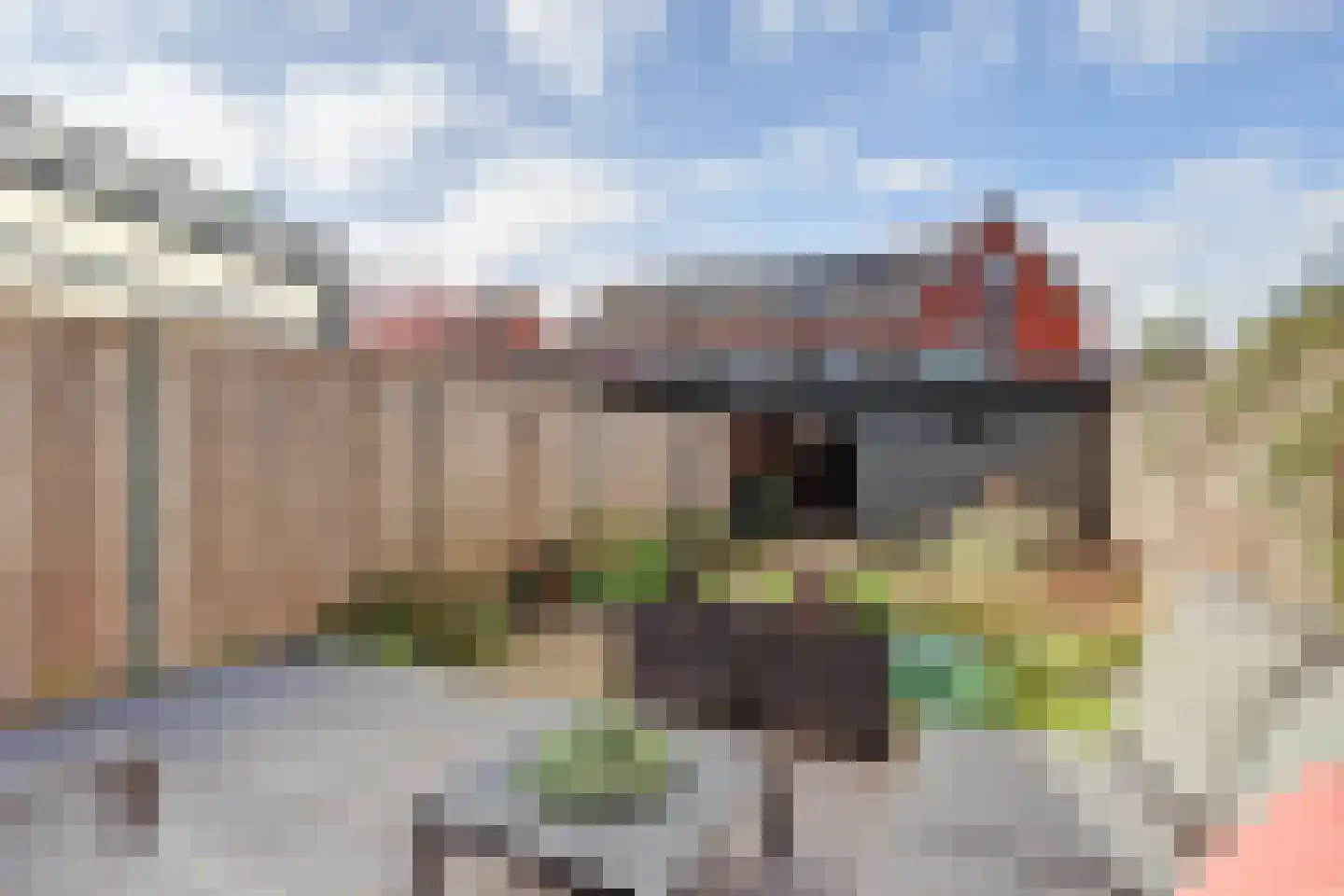 Ravelijn 34 Woudrichem thumbnail 40