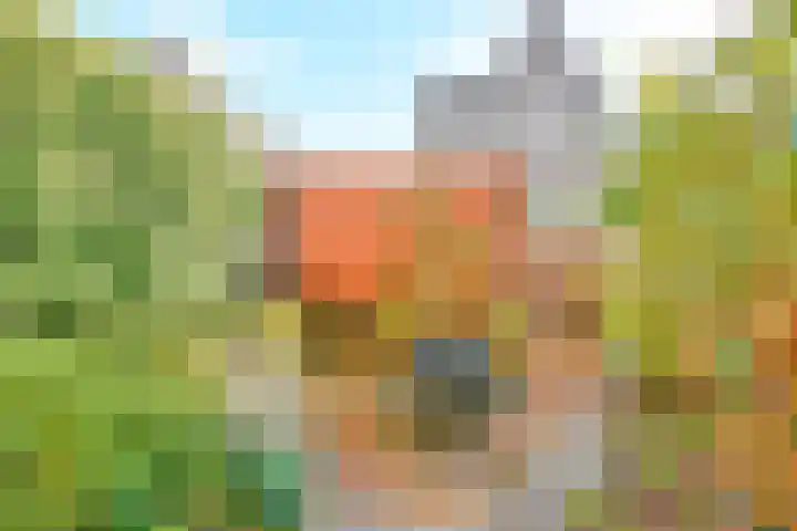 Ravelijn 36 Vijfhuizen thumbnail 16