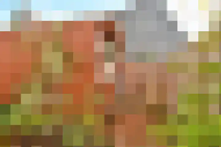 Ravelijn 36 Vijfhuizen thumbnail 17