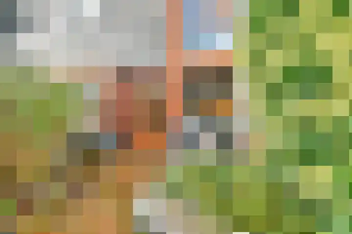 Ravelijn 36 Vijfhuizen thumbnail 19