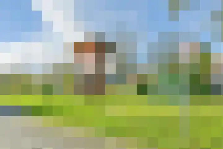 Ravelijn 36 Vijfhuizen thumbnail 36