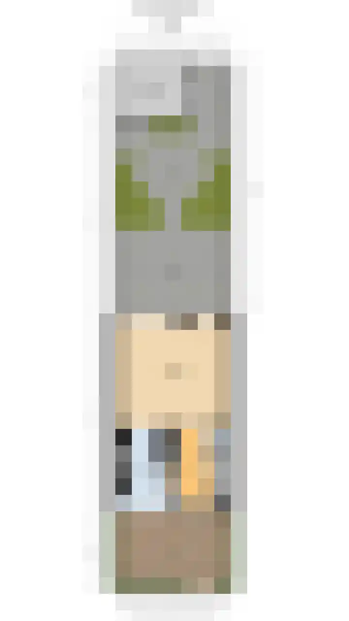 Ravelijn 36 Vijfhuizen thumbnail 41