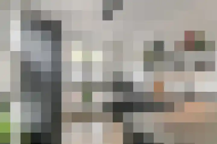 Ravelijn 37 Meteren thumbnail 11